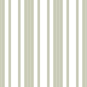 2022 Spring Summer - Candy Stripes - Number 1 Olive Green