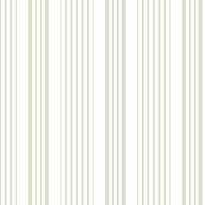 2022 Spring Summer - Candy Stripes - Number 4 Olive Green