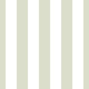 2022 Spring Summer - Candy Stripes - Number 10 Olive Green