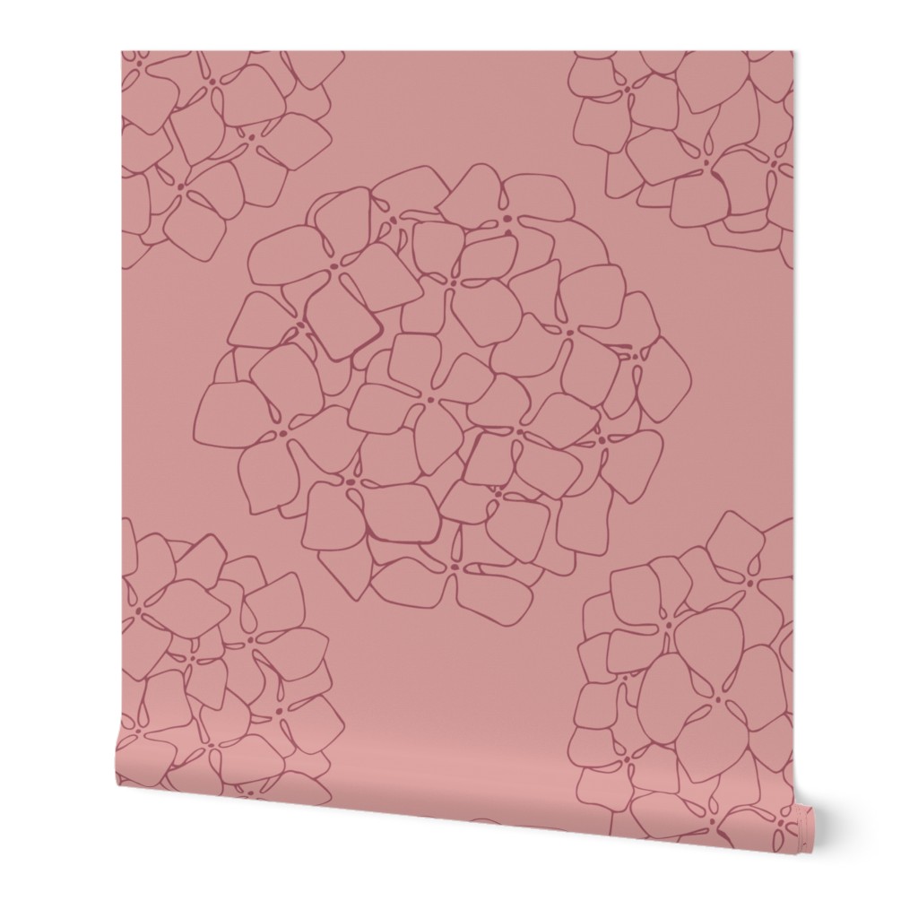 Hydrangea rose pink outline