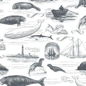 Marine Mammals Nautical Toile de Jouy Print