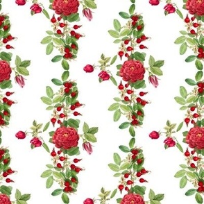 Traditional Striped Rose Print in Red and White