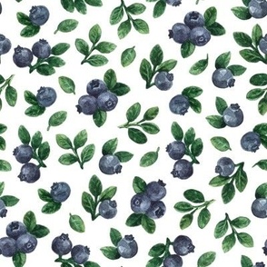 Watercolor blueberry print
