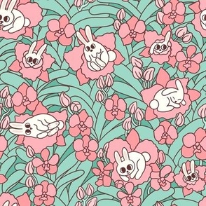 Spring Rabbits and orchid flowers 