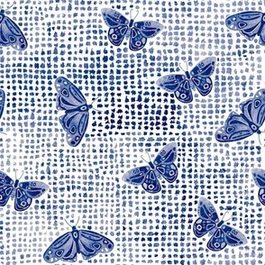 Blue Butterflies on Block Dots