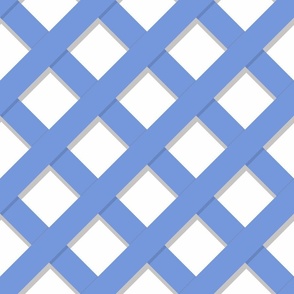 Custom BLUE LARGER DIAGONAL TRELLIS