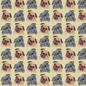 MIXED PUGS YELLOW 16