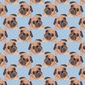 PUGS BLUE 16