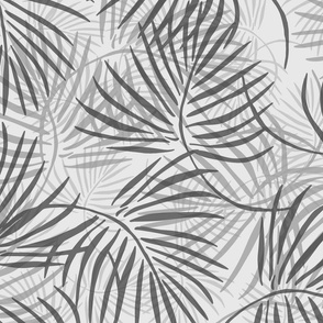 Grey palm leaves on white  40