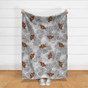 ATLAS MOTH WHITE WALL 40