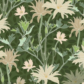 Anemone capensis In green green tones and leaves 