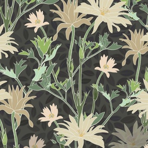 Anemone capensis In green tones and charcoal leaves 