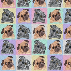 COLORFUL MIXED PUG PATTERN 24