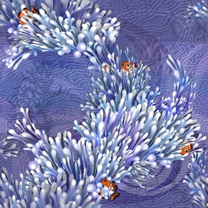 Magnificent Sea Anemone- very peri 
