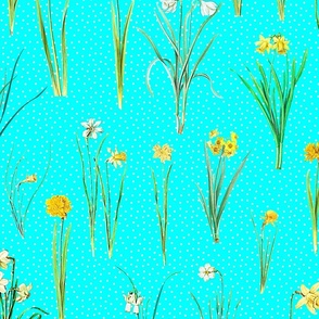 Daffodils and polka dots on aqua ground