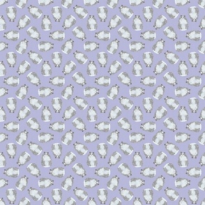 SCATTERED RAGDOLL PURPLE 8