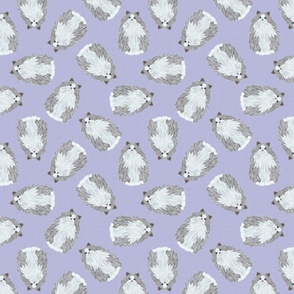 SCATTERED RAGDOLL PURPLE 16