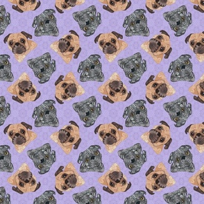 SCATTERED MIXED PUGS PURPLE 16