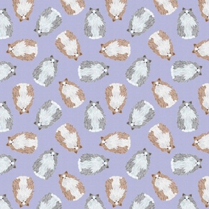 SCATTERED RAGDOLL MIX PURPLE 16