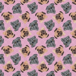 SCATTERED MIXED PUGS PINK 16