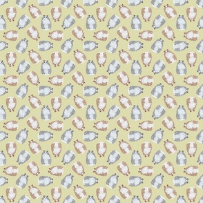 SCATTERED RAGDOLL MIX YELLOW 8