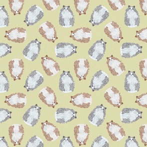 SCATTERED RAGDOLL MIX YELLOW 16