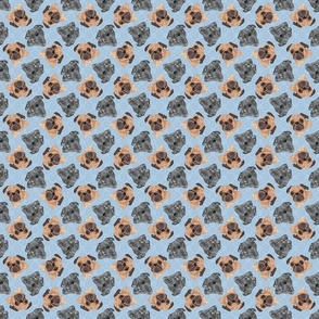SCATTERED MIXED PUGS BLUE 8