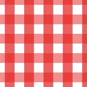 gingham 2in bright red