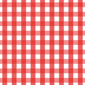 gingham 1in bright red