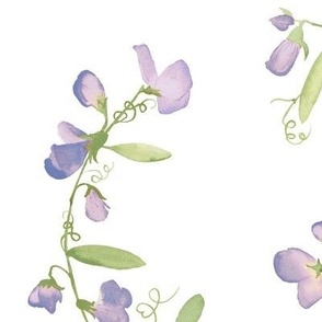 Sweet Pea Vine -Purple