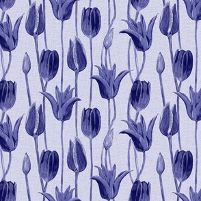 tulips_periwinkle_6667AB_purple