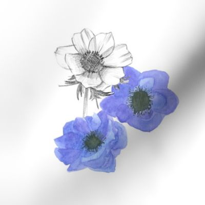 Blue Anemone Embroidery