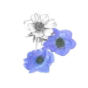 Blue Anemone Embroidery