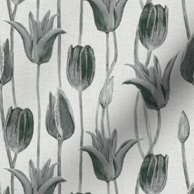 tulips_gray_greys