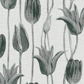 tulips_gray_greys