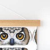 Owl Eyepillow
