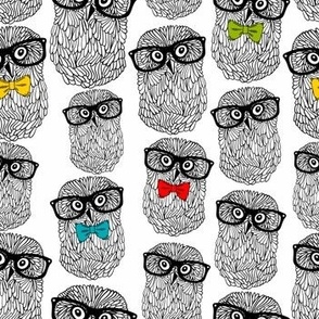 Funny little owls in tie bows