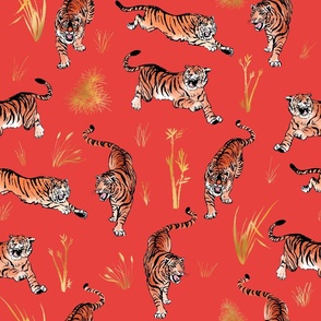 Large Year of the Tiger, Chinese New Year