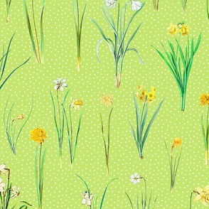 Daffodils and polka dots on bright green ground