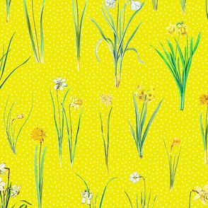 Daffodils and polka dots on sun yellow ground