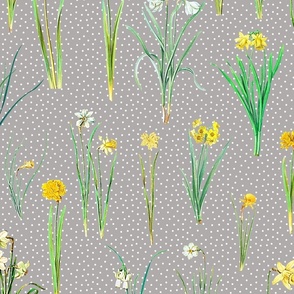 Daffodils and polka dots on grey ground