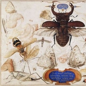 Insects and the Head of a Wind God (15901600) painting in high resolution by Joris Hoefnagel