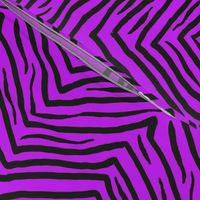tiger stripe 8x8 neon purple