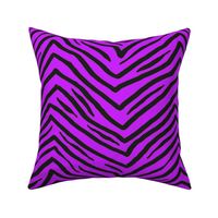 tiger stripe 12x12 neon purple