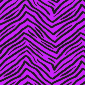 tiger stripe 12x12 neon purple