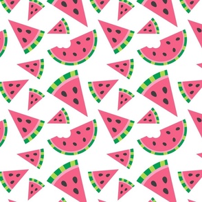 Cute Pink Watermelon Slice One in a Melon Pattern