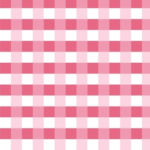  Gingham Pink and White Checkers