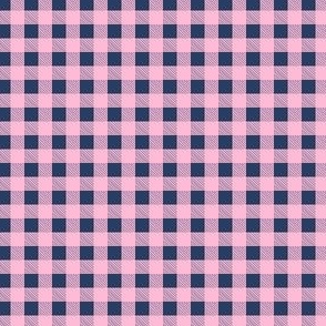 Pink and Navy gingham