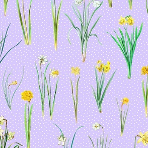 Daffodils and polka dots on lavender ground