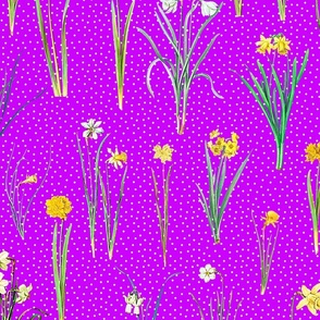 Daffodils and polka dots on magenta ground